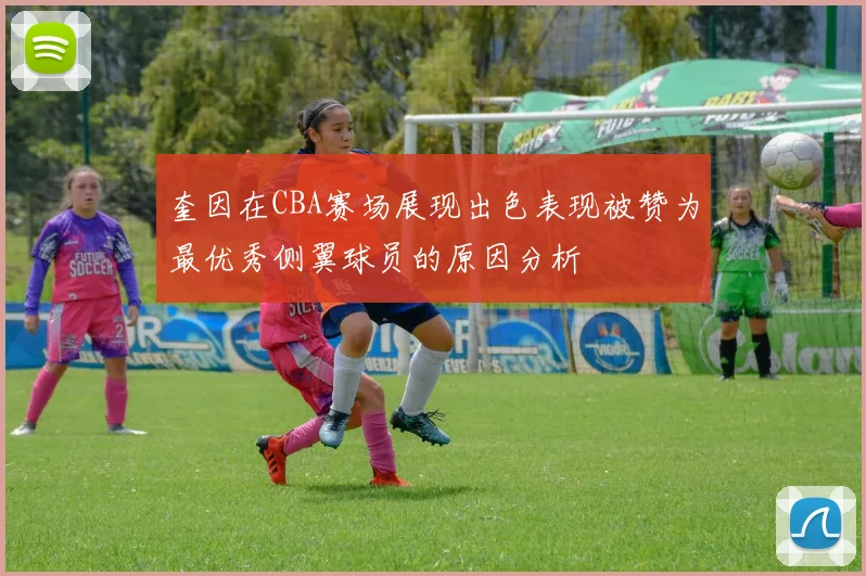 奎因在CBA赛场展现出色表现被赞为最优秀侧翼球员的原因分析